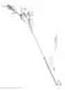 Fig. 06 - METHOD AND APPARATUS OF ECHOGENIC CATHETER SYSTEMS