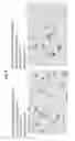 Fig. 06 - Method for obtaining fetal cells and fetal cellular components