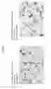 Fig. 07 - Method for obtaining fetal cells and fetal cellular components