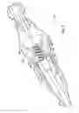 Fig. 06 - Hemostatic device and its methods of use
