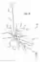 Fig. 07 - Multiple spinal surgical pathways systems and methods