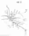 Fig. 08 - Multiple spinal surgical pathways systems and methods