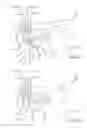 Fig. 09 - Multiple spinal surgical pathways systems and methods