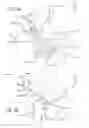 Fig. 35 - Multiple spinal surgical pathways systems and methods