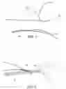 Fig. 02 - Methods of making reinforced soft tissue grafts with suture loop/needle constructs