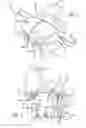 Fig. 02 - Self ligating orthodontic bracket
