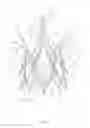 Fig. 03 - Stent for the positioning and anchoring of a valvular prosthesis in an implantation site in the heart of a patient