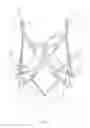 Fig. 09 - Stent for the positioning and anchoring of a valvular prosthesis in an implantation site in the heart of a patient