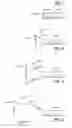 Fig. 03 - Stentless support structure