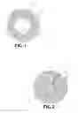 Fig. 02 - Joint or segmental bone implant for deformity correction