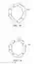 Fig. 06 - BIODEGRADABLE ENDOPROSTHESES AND METHODS OF THEIR FABRICATION