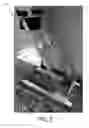 Fig. 06 - BACK-TRACTION DEVICE AND EXERCISE SYSTEM