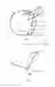 Fig. 02 - Corrector for Double Chin and Cervical Vertebrae