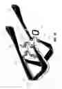 Fig. 09 - Gait belt