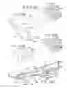 Fig. 48 - Oral device, assembly and method for the use thereof