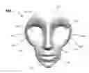 Fig. 01 - FACE CONTOUR MASK SYSTEM AND METHOD