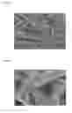Fig. 06 - STACKED BODY AND SHEET FOR APPLICATION TO SKIN
