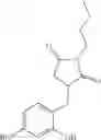 Fig. 13 - TOPICAL DELIVERY SYSTEM FOR ACTIVE INREDIENTS
