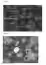 Fig. 02 - Cosmetic containing foam as carrier
