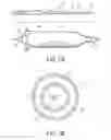 Fig. 02 - METHODS AND FORMULATIONS FOR TREATING VASCULAR DISEASE