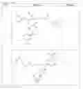Fig. 19 - METHODS AND COMPOSITIONS FOR DELIVERY OF MEDICAMENTS TO THE LUNGS