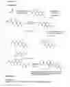 Fig. 23 - METHODS AND COMPOSITIONS FOR DELIVERY OF MEDICAMENTS TO THE LUNGS