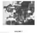 Fig. 02 - Enzyme delivery systems and methods of preparation and use