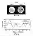 Fig. 09 - BIOCOMPATIBLE PARTICLES AND METHODS OF MAKING AND USE THEREOF