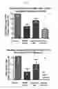 Fig. 09 - Methods and compositions for treatment of demyelinating diseases