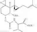Fig. 09 - Fumigillol compounds and methods of making and using same