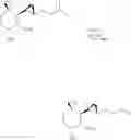 Fig. 32 - Fumigillol compounds and methods of making and using same