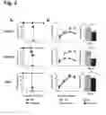 Fig. 03 - Dosing regimens of celgosivir for the prevention of dengue