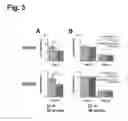 Fig. 06 - Dosing regimens of celgosivir for the prevention of dengue
