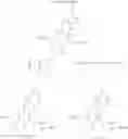 Fig. 58 - SHIP1 MODULATORS AND METHODS RELATED THERETO