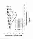 Fig. 08 - Methods and compositions for inhibition of polymerase
