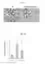 Fig. 04 - Pharmaceutical compositions for radioprotection or radiomitigation and methods for using them