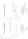 Fig. 07 - Uses of ether phospholipids in treating diseases