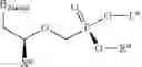 Fig. 15 - Acyclic nucleoside phosphonate diesters