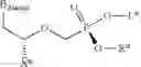 Fig. 16 - Acyclic nucleoside phosphonate diesters