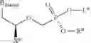 Fig. 17 - Acyclic nucleoside phosphonate diesters
