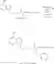 Fig. 52 - Acyclic nucleoside phosphonate diesters