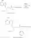 Fig. 60 - Acyclic nucleoside phosphonate diesters