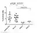 Fig. 01 - TOLEROGENIC DENDRITIC CELLS, METHODS OF PRODUCING THE SAME, AND USES THEREOF