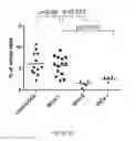 Fig. 02 - TOLEROGENIC DENDRITIC CELLS, METHODS OF PRODUCING THE SAME, AND USES THEREOF