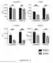 Fig. 12 - TOLEROGENIC DENDRITIC CELLS, METHODS OF PRODUCING THE SAME, AND USES THEREOF