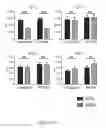 Fig. 13 - TOLEROGENIC DENDRITIC CELLS, METHODS OF PRODUCING THE SAME, AND USES THEREOF