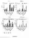 Fig. 20 - TOLEROGENIC DENDRITIC CELLS, METHODS OF PRODUCING THE SAME, AND USES THEREOF