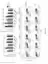 Fig. 24 - TOLEROGENIC DENDRITIC CELLS, METHODS OF PRODUCING THE SAME, AND USES THEREOF