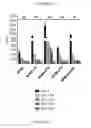 Fig. 27 - TOLEROGENIC DENDRITIC CELLS, METHODS OF PRODUCING THE SAME, AND USES THEREOF