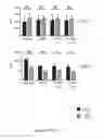 Fig. 43 - TOLEROGENIC DENDRITIC CELLS, METHODS OF PRODUCING THE SAME, AND USES THEREOF